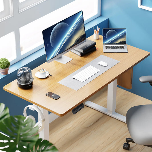 Height Adjustable Electric Standing Desk