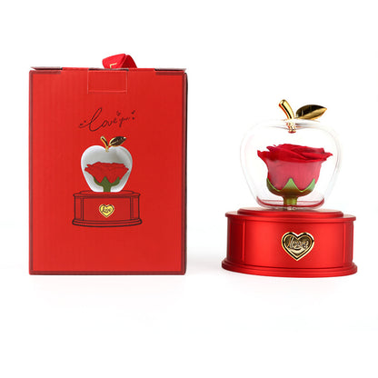 🌹 Preserved Rose Jewelry Display Box – A Forever Love Gift ✨💝