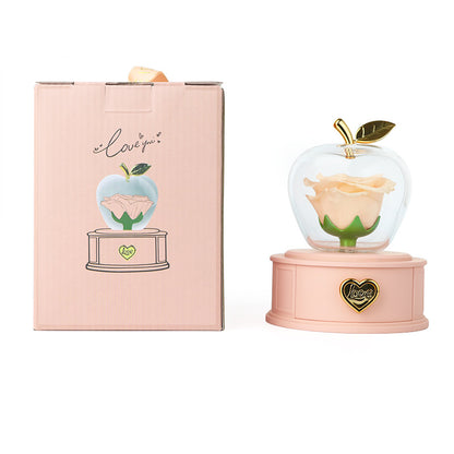 🌹 Preserved Rose Jewelry Display Box – A Forever Love Gift ✨💝