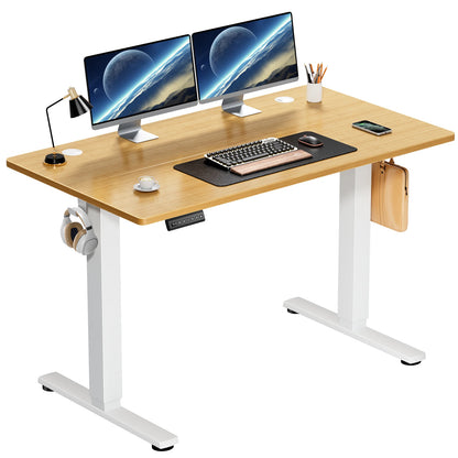 Height Adjustable Electric Standing Desk